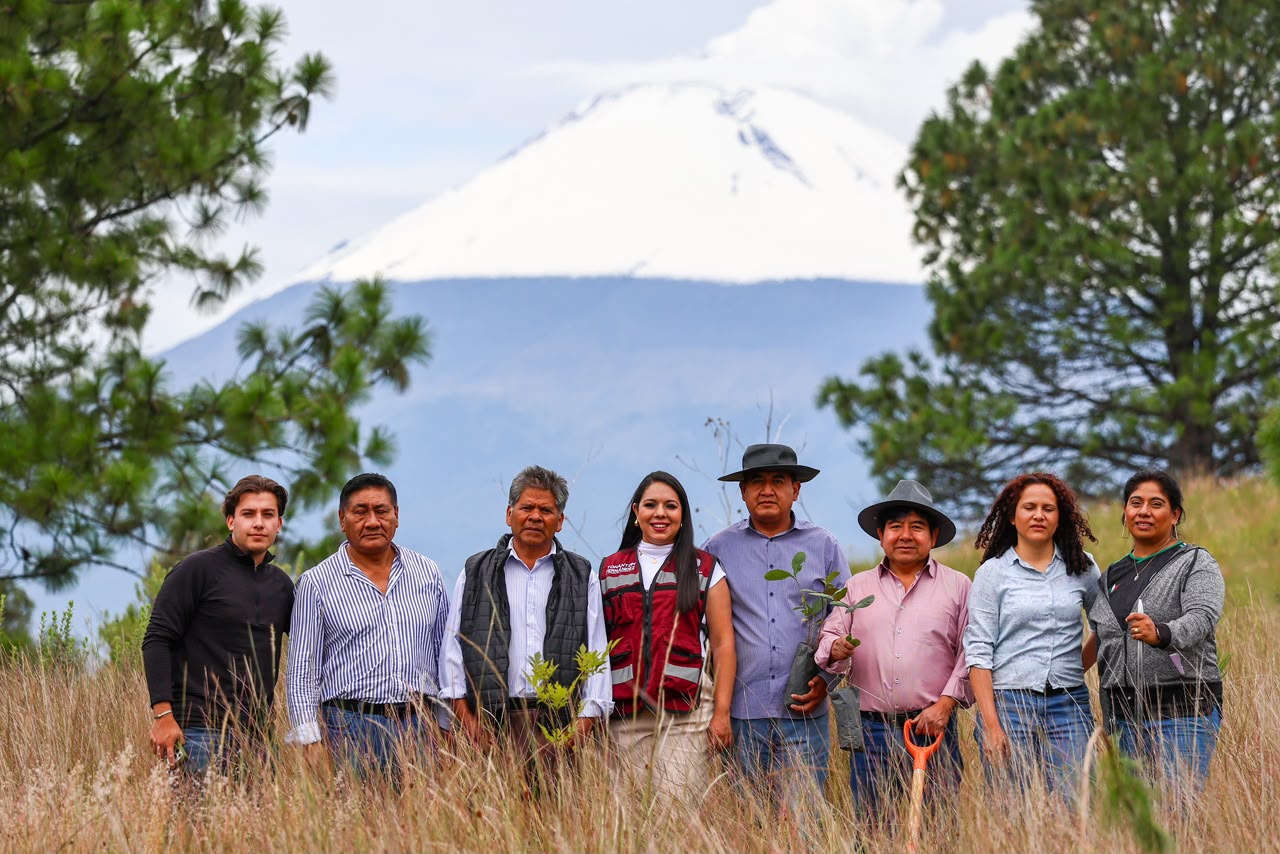 Tonantzin Fernández fortalece reforestación y protección del Cerro Zapotecas