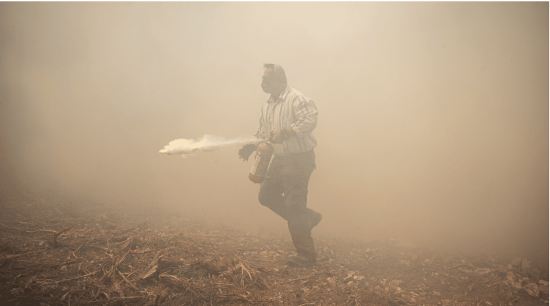 Incendios forestales en Grecia dejan dos muertos y más de 11 mil hectáreas afectadas
