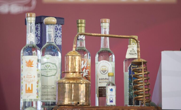 Puebla se consolida como segundo productor nacional de mezcal con industria de mil mdp