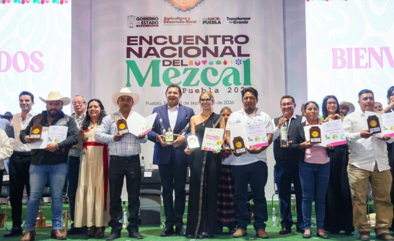 ¡Puebla presume su fuerza mezcalera! Más de 20 mil hectáreas de agave y 650 mil litros de producción