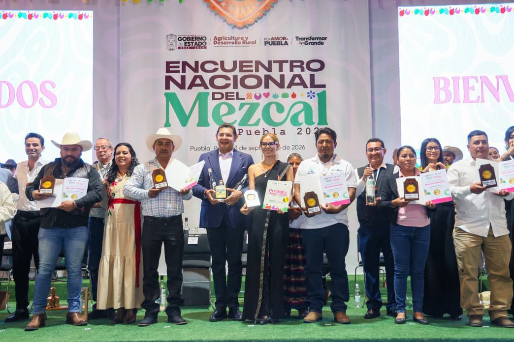 ¡Puebla presume su fuerza mezcalera! Más de 20 mil hectáreas de agave y 650 mil litros de producción