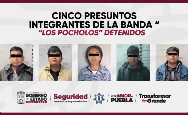 Detienen en Huixcolotla a quinta presunta integrante de “Los Pocholos”