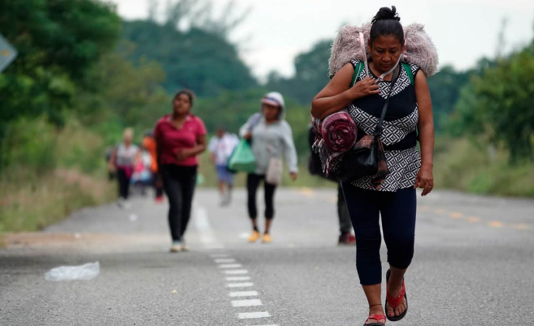 Proyecto de la SCJN plantea negar amparo a víctimas de desplazamiento forzado y descarta omisión del Congreso
