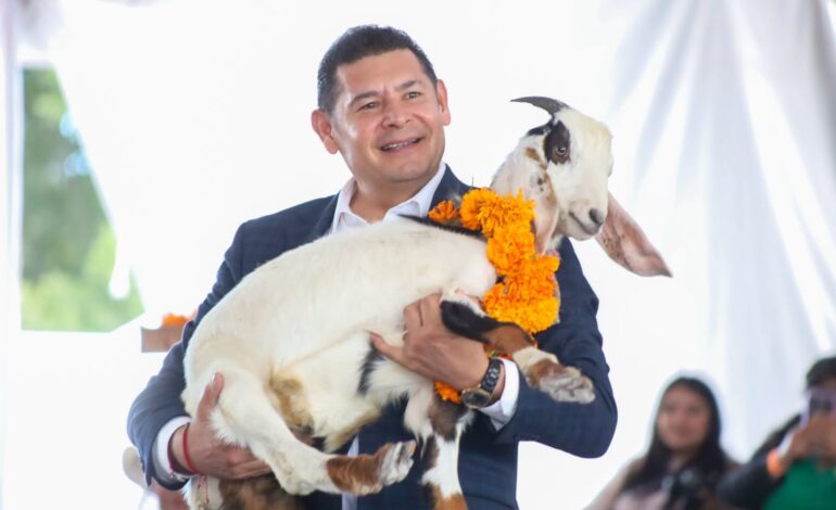 Puebla prevé millonaria derrama por temporada del mole de caderas